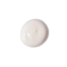 Anti-Aging-Creme mit Silizium, Inulin und Hyaluronsäure